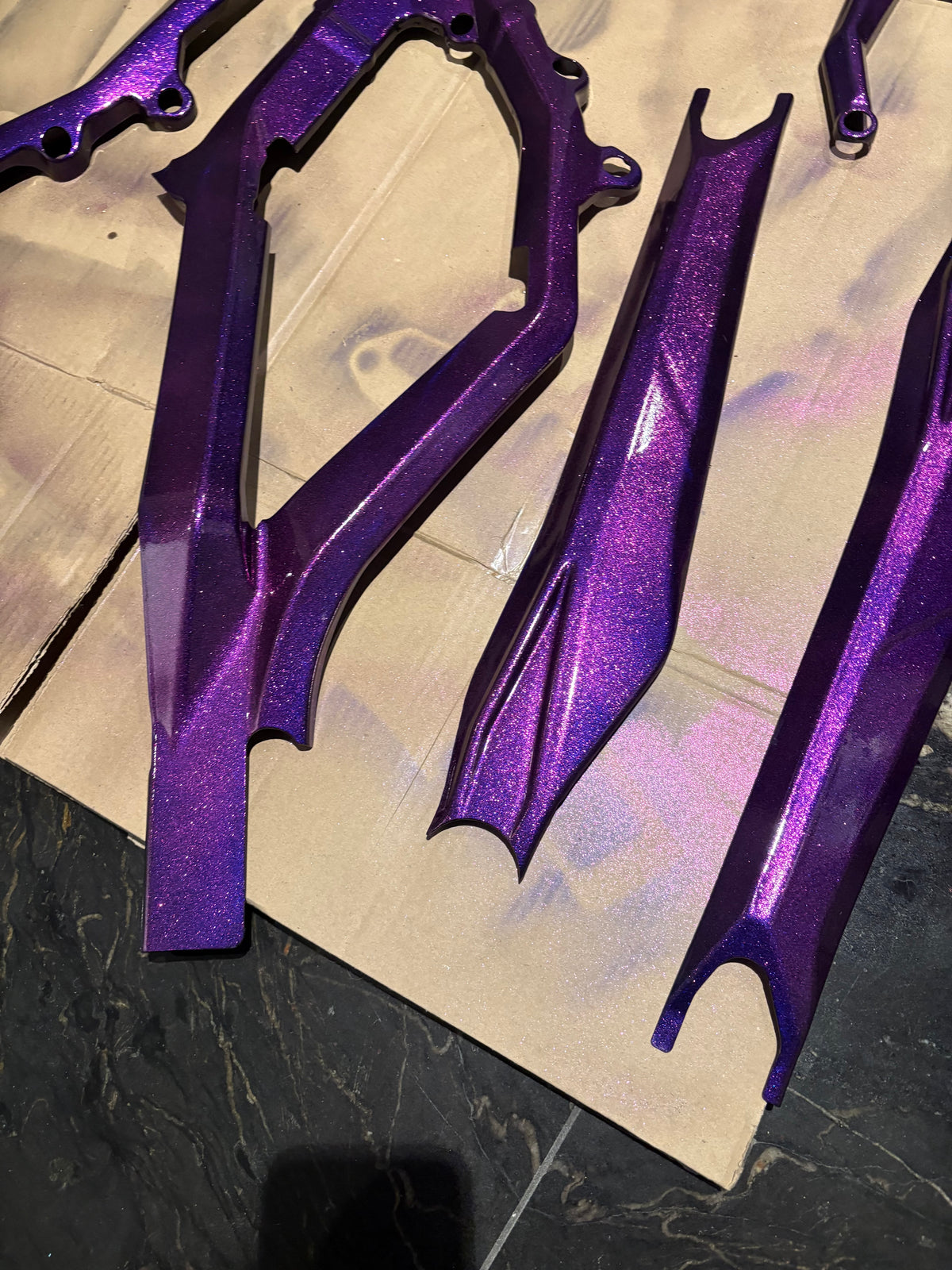 Sur-Ron Light Bee Painted Frame Guards