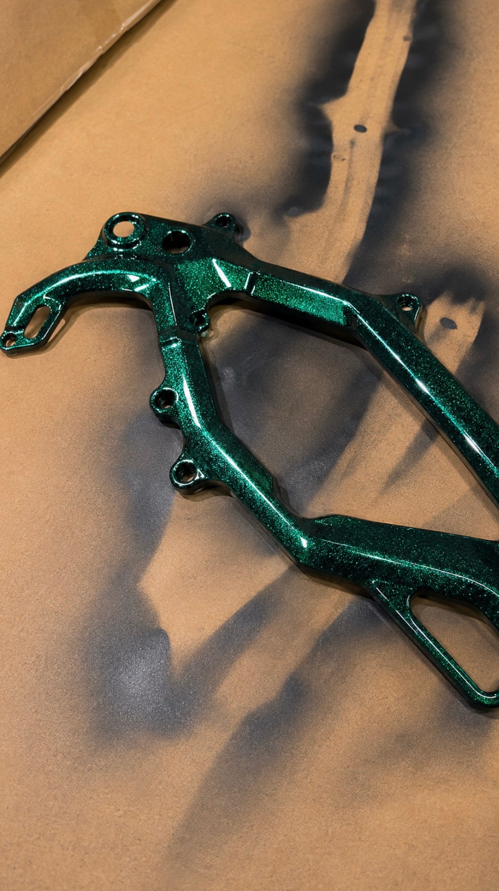 Sur-Ron Light Bee Painted Frame Guards
