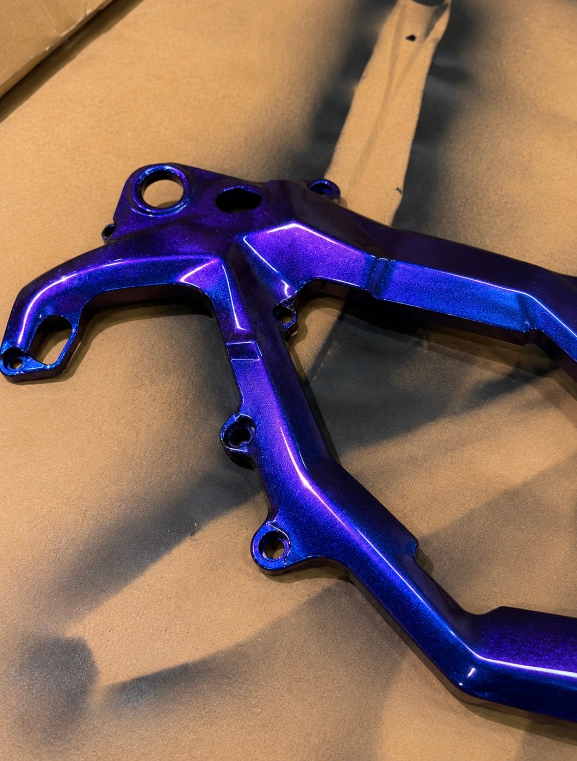 Sur-Ron Light Bee Painted Frame Guards